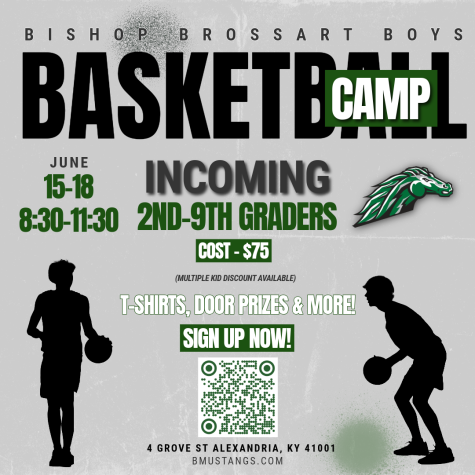 Untitled - 2026-03-03T135344.743 (1)